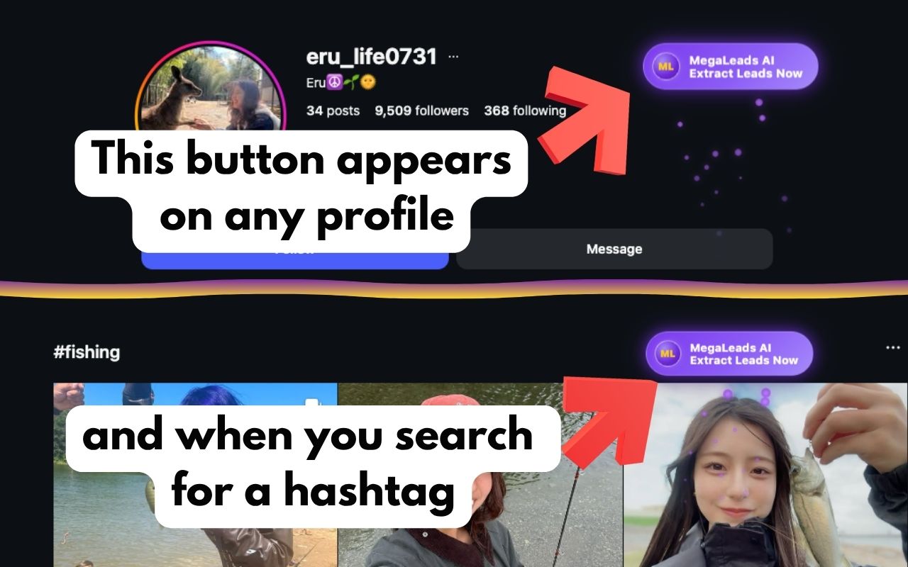 Step 1: Instagram profile with the MegaLeadsAI magic button