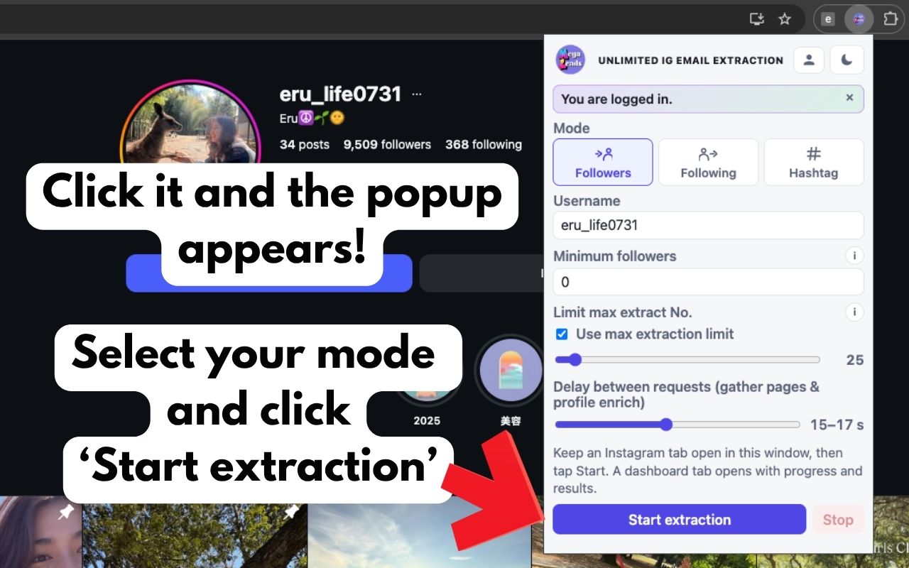 Step 2: Start extraction button in MegaLeadsAI