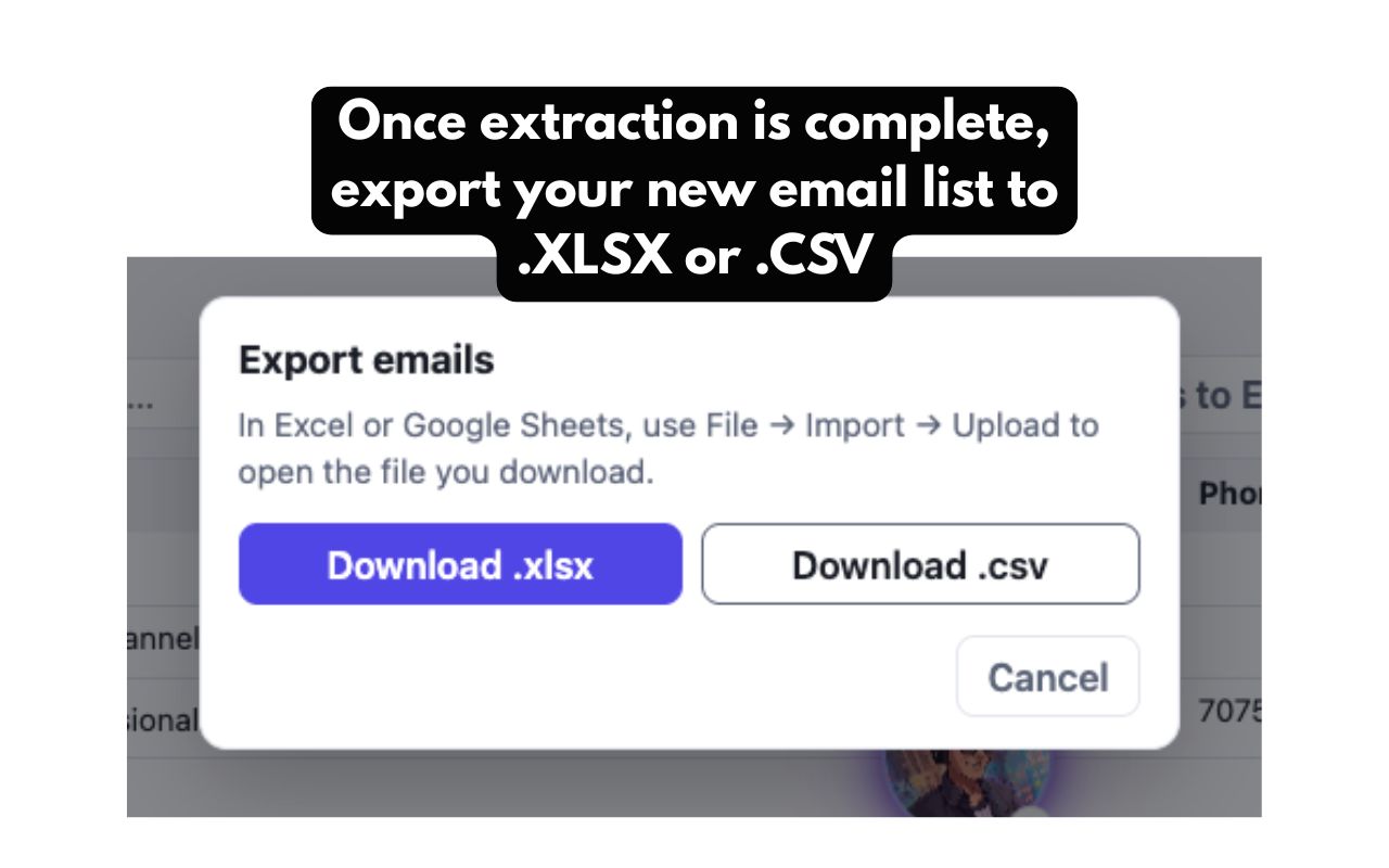 Step 4: Downloading the email list from MegaLeadsAI